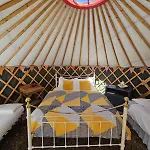 Granville House Glamping Camping *
